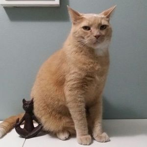 Meet your Posher, Veronica